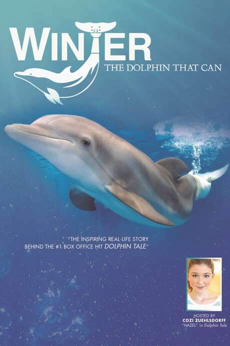 Winter, the Dolphin that Can